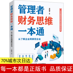 管理者财务思维一本通：从了解企业到掌控企业（一本书囊括你应知应会的财务关键）