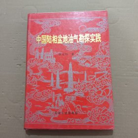 中国陆相盆地油气勘探实践