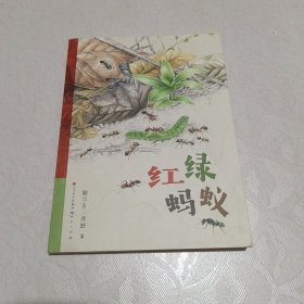 红绿蚂蚁