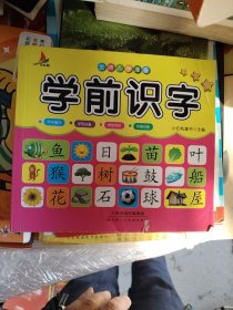 儿童学前教育书籍幼升小入学学前识字教材幼小衔接3-7岁语言启蒙汉字认字幼儿园大班学前班练习册