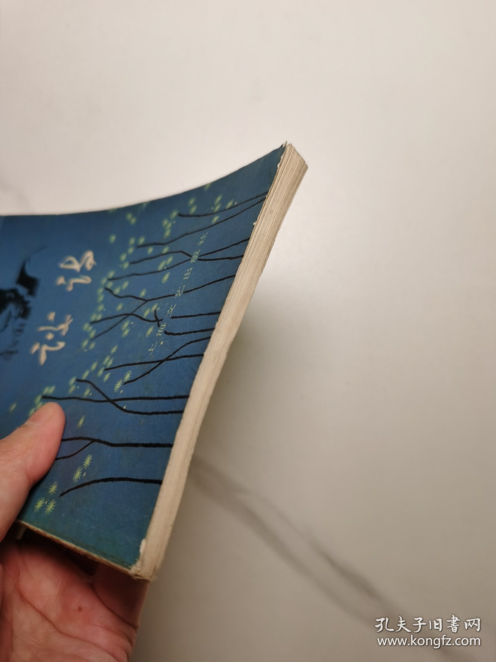 谈诗（修订本）