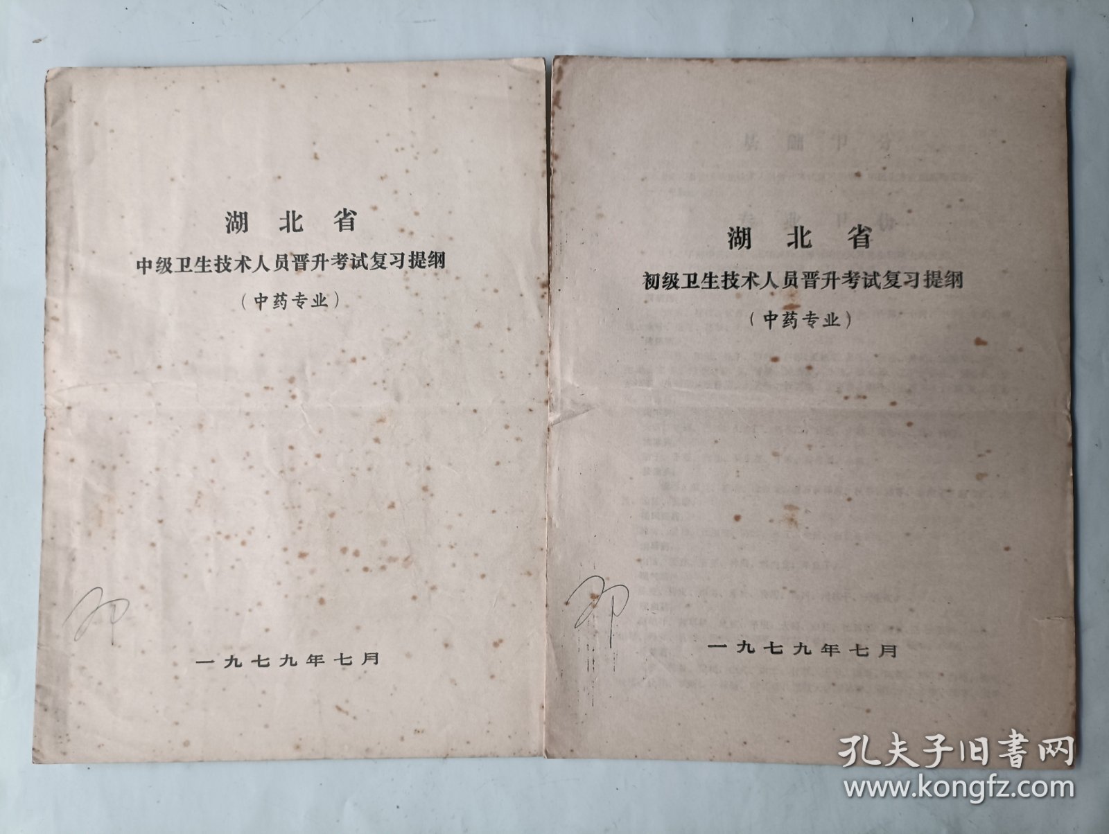 湖北省初、中级医药卫生技术人员晋升考试复习提纲 中药专业