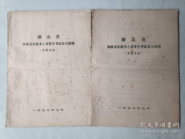 湖北省初、中级医药卫生技术人员晋升考试复习提纲 中药专业