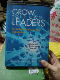 GrowYourOwnLeaders:HowtoIdentify,Develop,andRetainLeadershipTalent