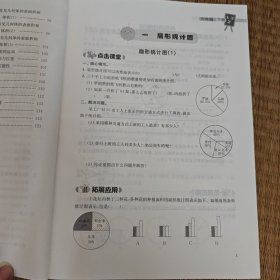 2024年课课练小学数学六年级下册配苏教版