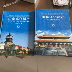 山东文化遗产(第三次全国文物普查重要新发现卷)（重点文物保护单位卷）