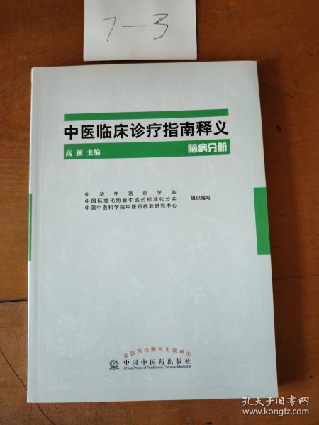 中医临床诊疗指南释义 脑病分册