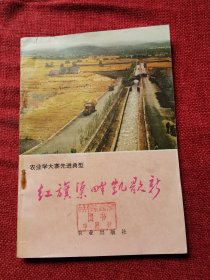 红旗渠畔凯歌新（1976年）