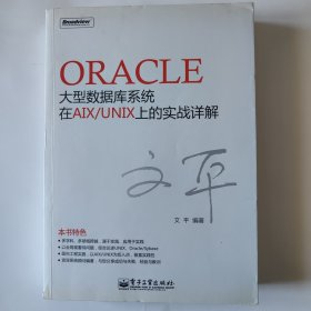 Oracle大型数据库系统在AIX/UNIX上的实战详解