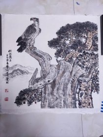 全国名家杜希贤国画雄鹰拖片 盛年力作，精品，四尺斗方保真