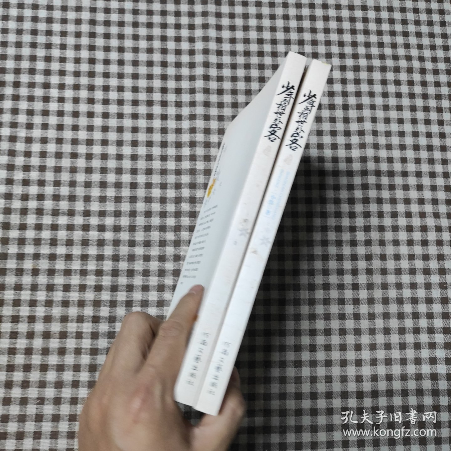 少年丞相世外客（中+下）