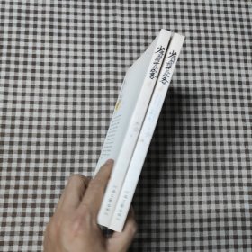 少年丞相世外客（中+下）