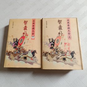 智慧补实用奇谋大全 上下