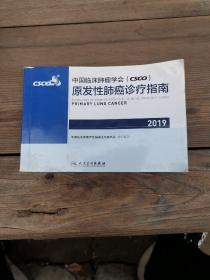 中国临床肿瘤学会(CSCO)原发性肺癌诊疗指南2019