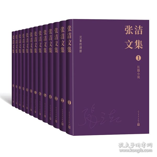 张洁文集（全13卷）