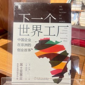 下一个世界工厂：中国企业在非洲的创业故事