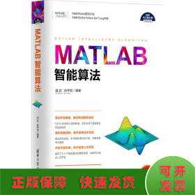 MATLAB智能算法