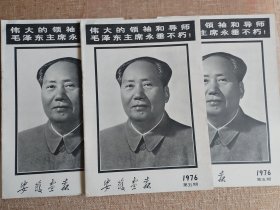 《安徽画报》，1976年第5期，品好，不缺页。