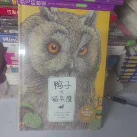 鸭子与猫头鹰