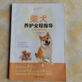 柴犬养护全程指导