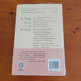 布鲁克林有棵树 〔美〕贝蒂·史密斯著 冯瑞贞译 刘荣跃审译 中国致公出版社