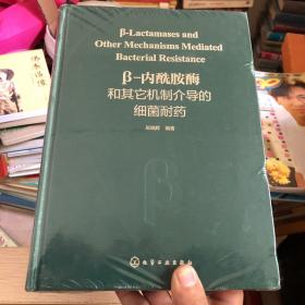 β-内酰胺酶和其它机制介导的细菌耐药