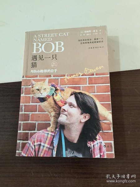 遇见一只猫:与Bob相伴的日子