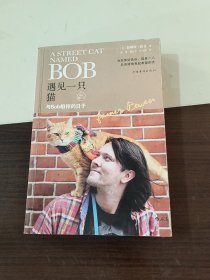 遇见一只猫:与Bob相伴的日子