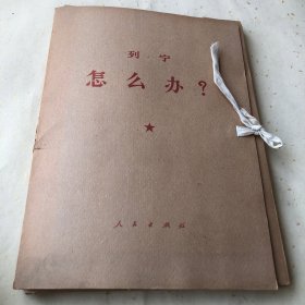 列宁 马克思 等诸篇著作共计17套 还有两本单本一起出