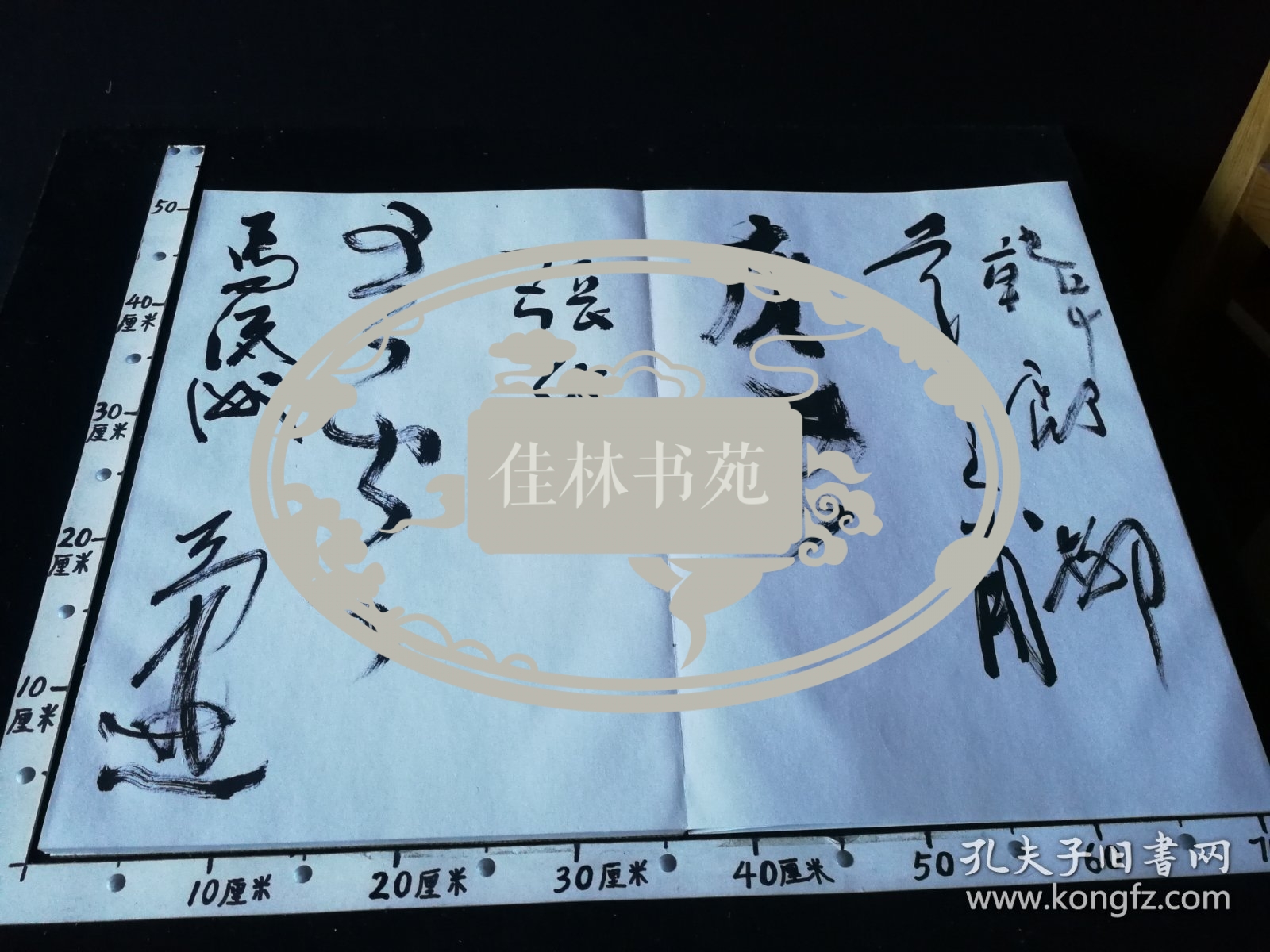 TS著名画家签名册。