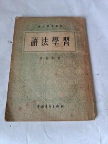 语法学习（语文学习丛书）