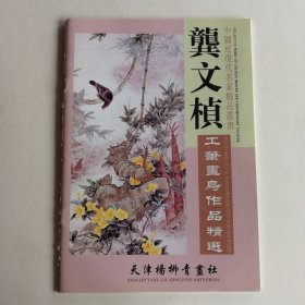 龚文桢工笔画鸟作品精选