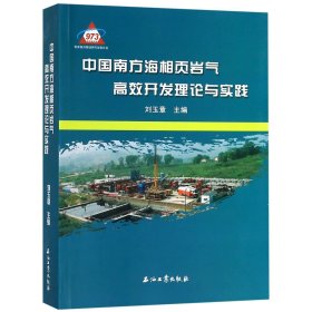 中国南方海相页岩气高效开发理论与实践