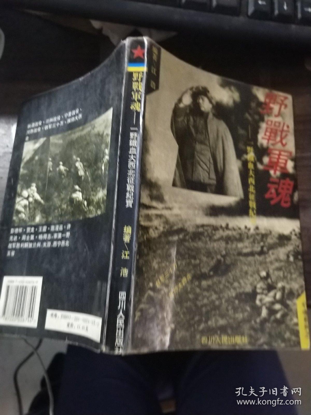 野战军魂:一野将士铁血大西北征战纪实