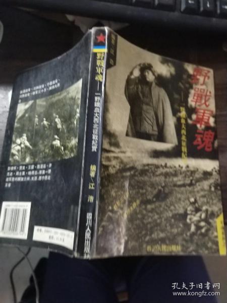 野战军魂:一野将士铁血大西北征战纪实