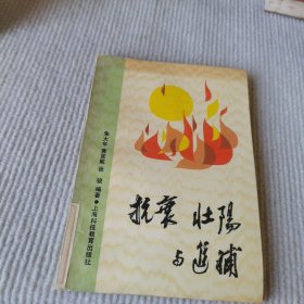 抗衰壮阳与进补