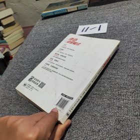 再造商业模式：回归商业本质，再现模式力量，纵横新兴市场