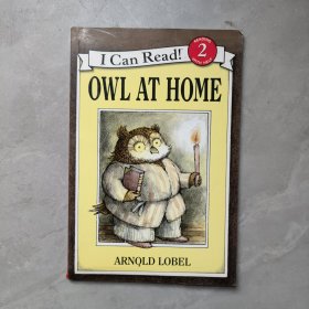 Owl at Home 猫头鹰在家 英文原版