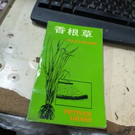 香根草