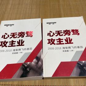 心无旁骛攻主业 2008--2018潍柴腾飞的基因 实践篇上下 （如图，下册书角有磨损）