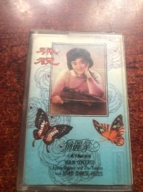 俞丽拿小提琴独奏精选