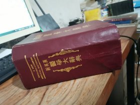新英汉医学大辞典