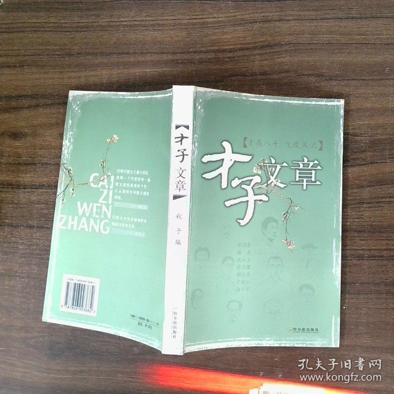 才子文章