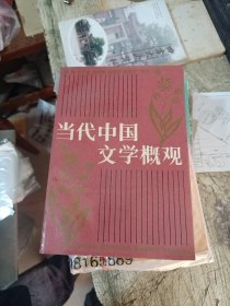 中国当代文学概观