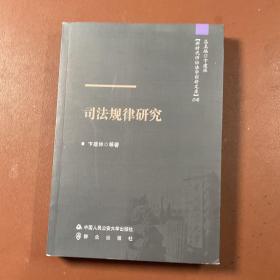 司法规律研究/新时代诉讼法学创新文库