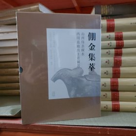 倗金集萃一一山西绛县横水西周墓地出土青铜器（16开上下册）原价980元 全新书