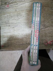 生命课堂研究丛书：生命的成长，生命课堂的100个故事，生命课堂的理论与实践研究 【共3册】