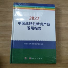 2022中国战略性新兴产业发展报告