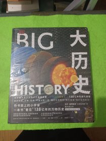 DK大历史：从宇宙大爆炸到我们人类的未来，138亿年的非凡旅程