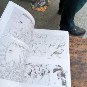 中国美术院校教材：从写生走向创作·花鸟画